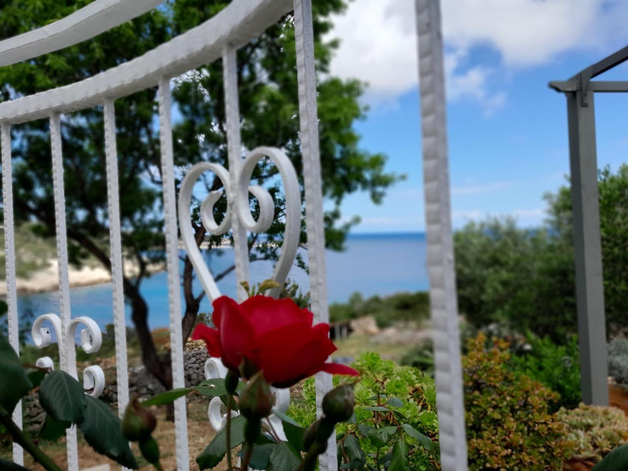 Moja Posebna Kuca Na Osami Kraj Mora Vila Vis Exterior foto