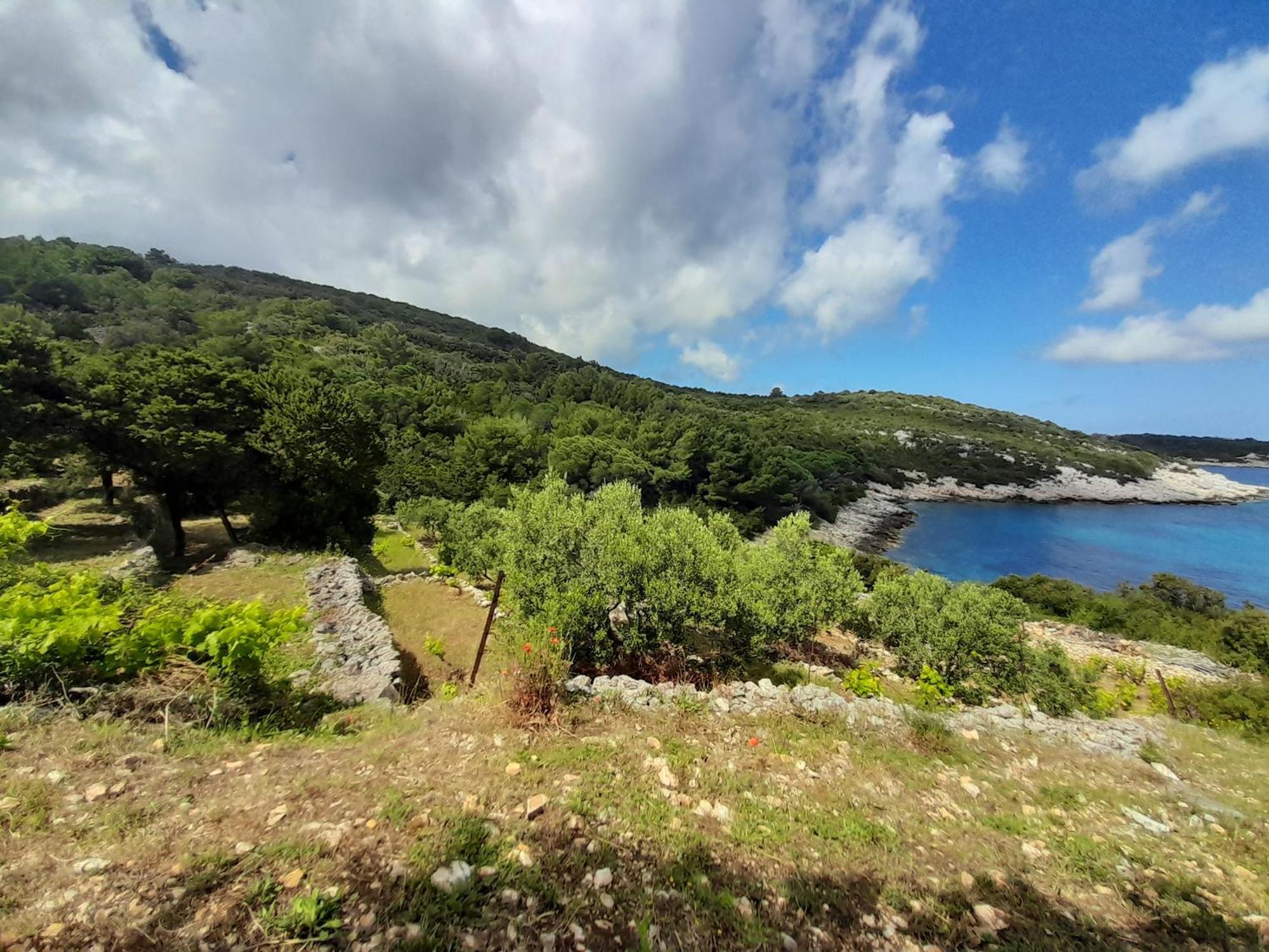 Moja Posebna Kuca Na Osami Kraj Mora Vila Vis Exterior foto