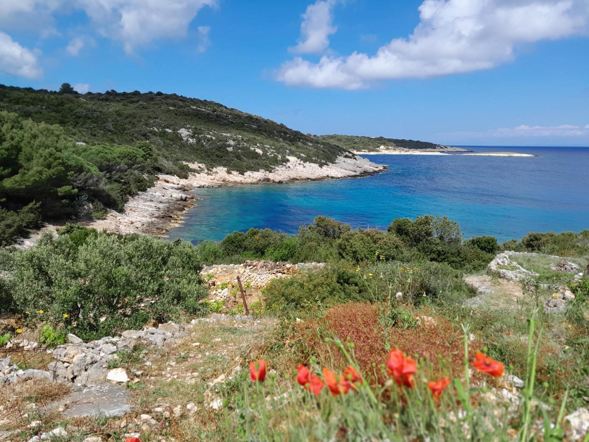 Moja Posebna Kuca Na Osami Kraj Mora Vila Vis Exterior foto