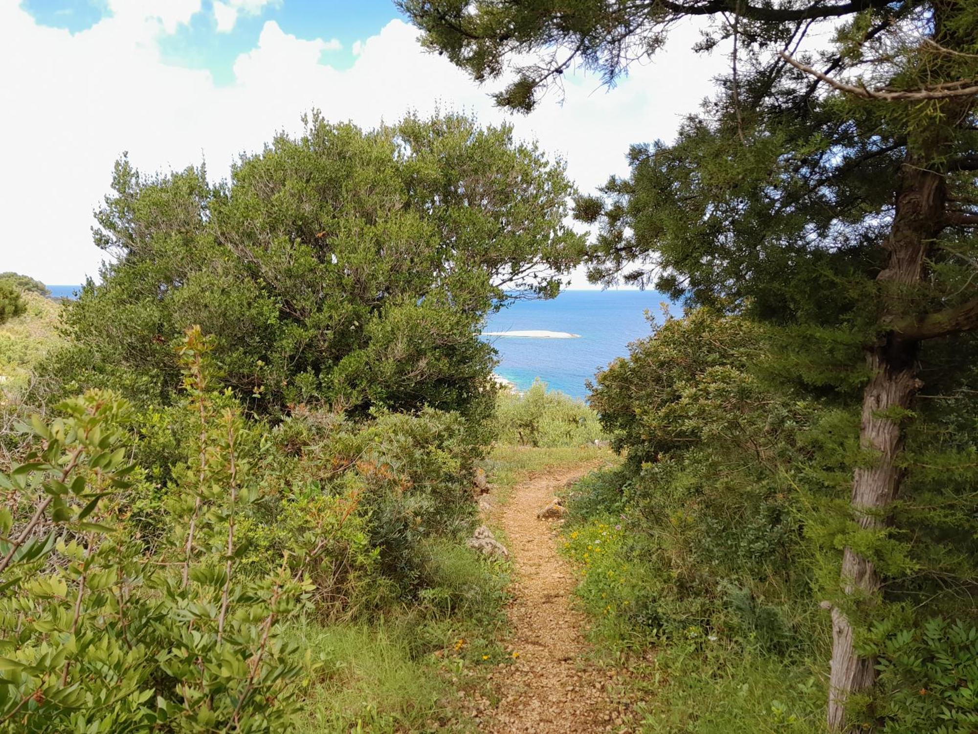 Moja Posebna Kuca Na Osami Kraj Mora Vila Vis Exterior foto